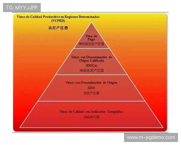 全面解析PG游戏分级制度对游戏内容健康发展的积极影响
